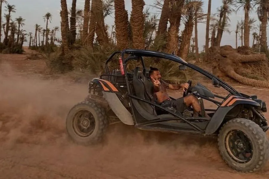 Buggy Palm Grove Off-Road