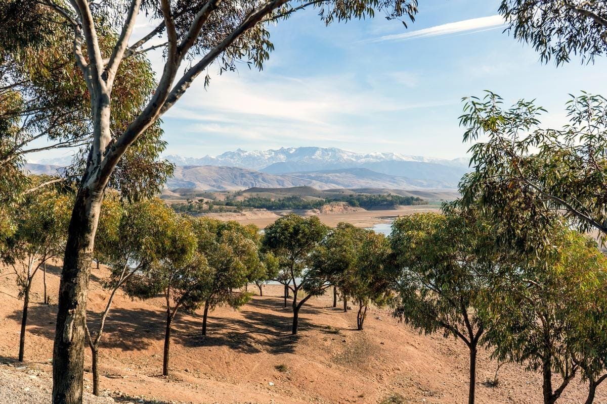 2-4 Days Atlas Mountains Quad Raid