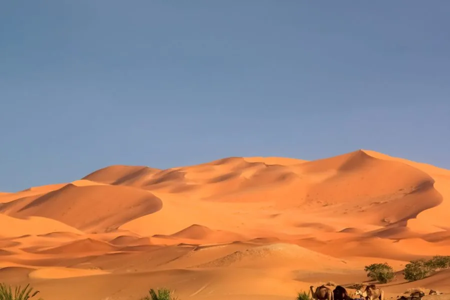 3-Day Merzouga Trip: Luxury in the Heart of the Desert
