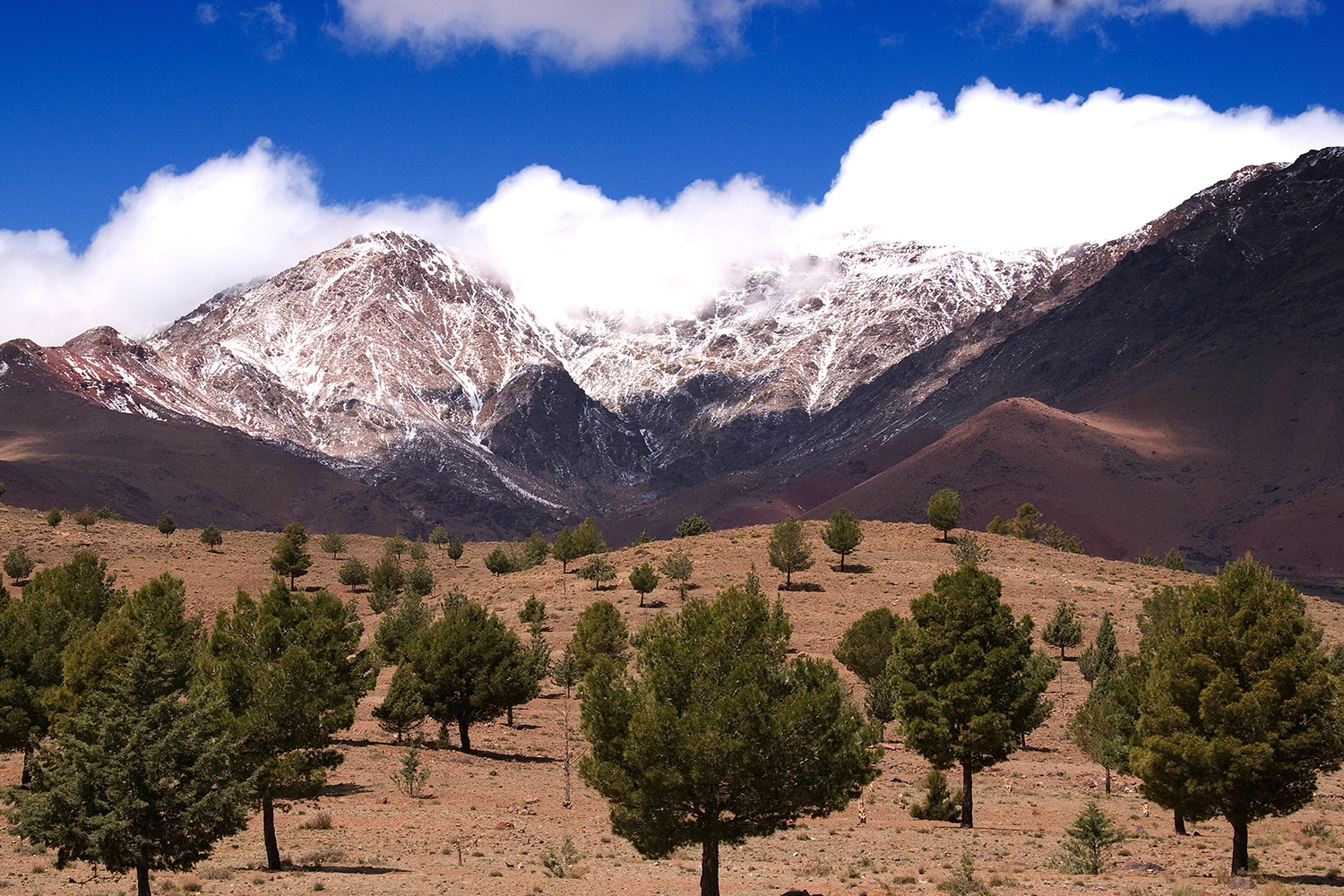 3-Day Quad Adventure in the Atlas Mountains